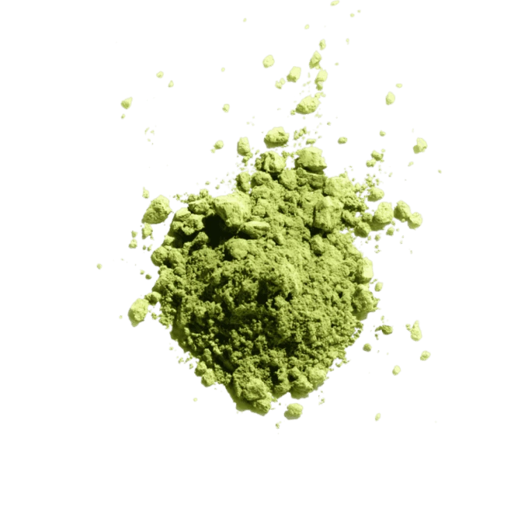 Terroir Matcha Kikyo Daily 50 g | CoffeeLove