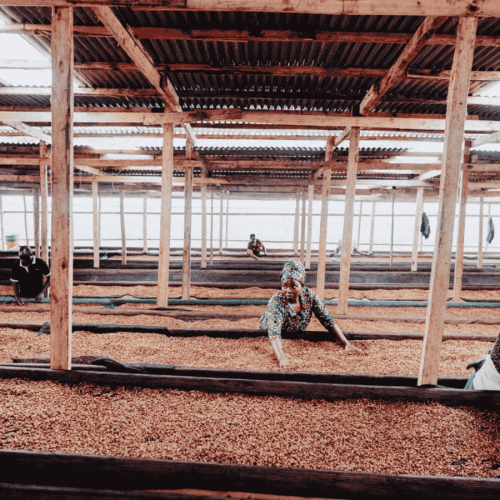 Father's Coffee Uganda Zebigi filter 250 g | CoffeeLove