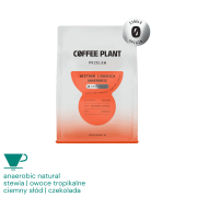 Coffee Plant Wietnam Liberica Anaerobic filter 250 g | CoffeeLove