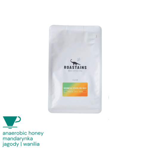 Roastains Indonezja Sparkling Wave filter 250 g | CoffeeLove