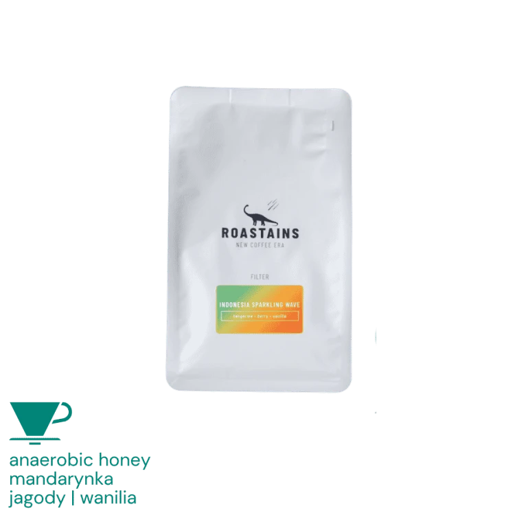 Roastains Indonezja Sparkling Wave filter 250 g | CoffeeLove