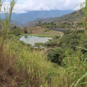 Standout Competition Ekwador Finca Eliza filter 100 g | CoffeeLove