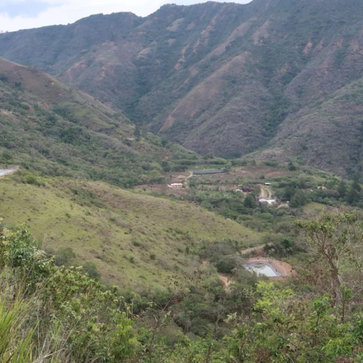 Standout Competition Ekwador Finca Eliza filter 100 g | CoffeeLove