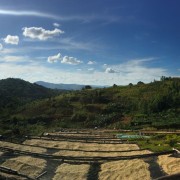 1000 Hills Muhabura Rwanda washed filtr 250g kawa ziarnista Speciality | CoffeeLove
