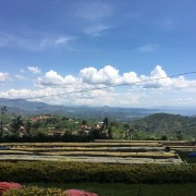 1000 Hills Muhabura Rwanda washed filtr 250g kawa ziarnista Speciality | CoffeeLove