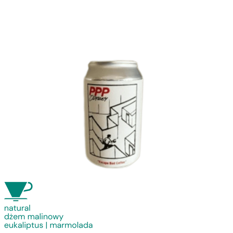People Possession Kostaryka Finca Voo Red Catuai [48hr Natural] 100 g | CoffeeLove
