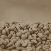 Nomad Coffee Burundi Nemba filter 250 g | CoffeeLove