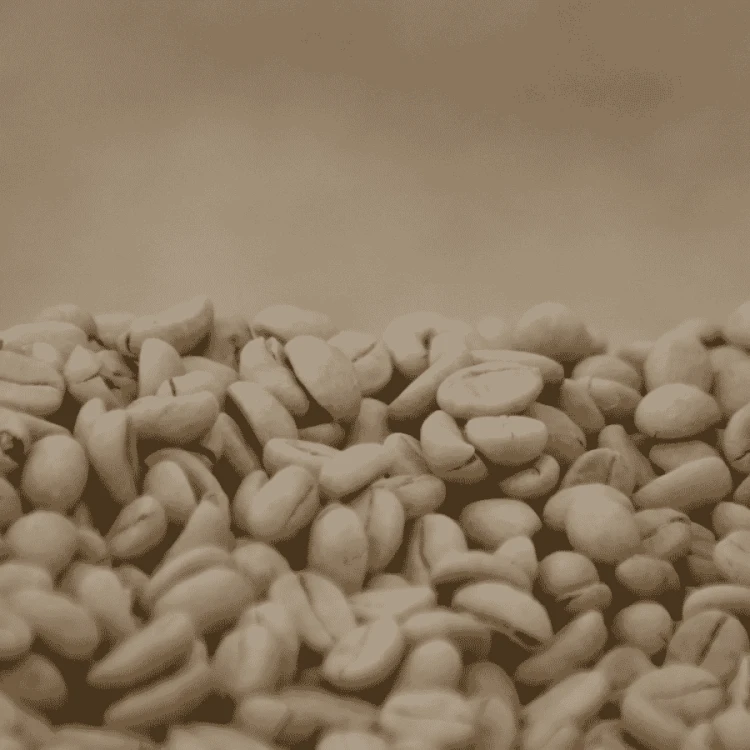 Nomad Coffee Burundi Nemba filter 250 g | CoffeeLove