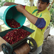Nomad Coffee Peru Churupallana filter 250 g | CoffeeLove