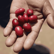 Nomad Coffee Boliwia Juan Pinto filter 250 g | CoffeeLove