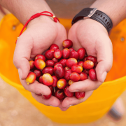 Nomad Coffee Kolumbia Chiroso Las Flores filter 250 g | CoffeeLove