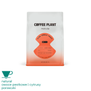 Coffee Plant Flow Jungle Fruit filtr 250g | CoffeeLove