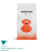 Coffee Plant Flow Jungle Fruit filtr 250g (1).png