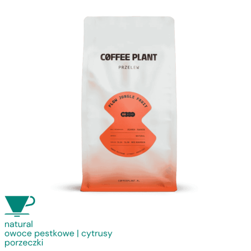Coffee Plant Flow Jungle Fruit filtr 250g (1).png