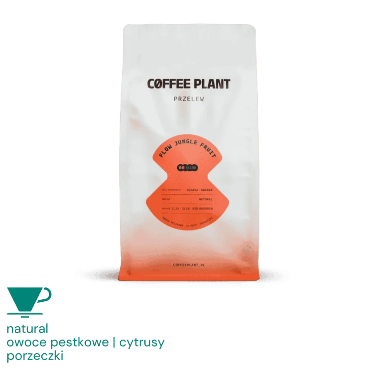 Coffee Plant Flow Jungle Fruit filtr 250g (1).png