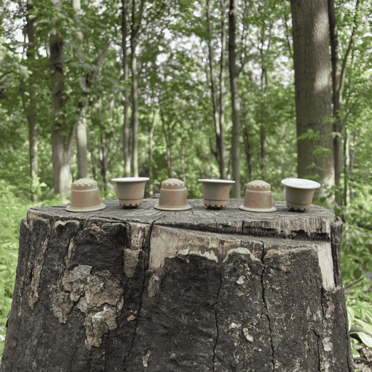 The Barn Etiopia Single Origin capsules 14 szt | CoffeeLove