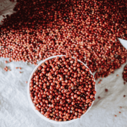 Gardelli Indonezja Kartika omniroast 250 g | CoffeeLove