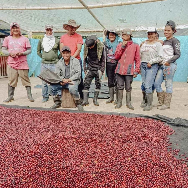 Father's Coffee Kolumbia Robinson filter 250 g | CoffeeLove