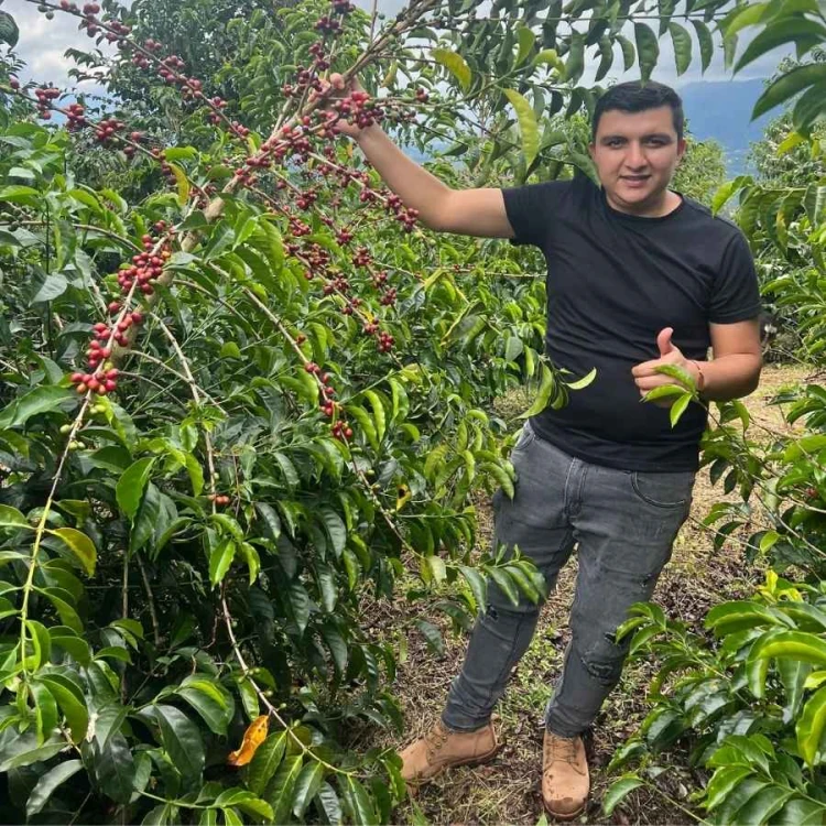 Father's Coffee Kolumbia El Diviso Geisha filter 100 g | CoffeeLove