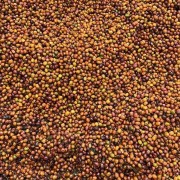 Father's Coffee Kolumbia El Diviso Geisha filter 100 g | CoffeeLove