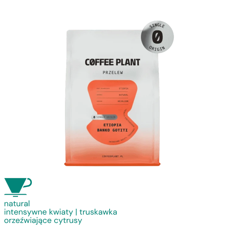 Coffee Plant Etiopia Banko Gotiti filter 250 g | CoffeeLove