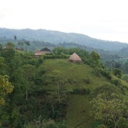 Coffee Collective Etiopia Basha filter 250 g | CoffeeLove