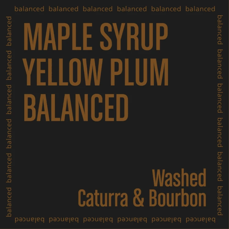 The Barn Gwatemala Santa Clara omniroast 250 g | CoffeeLove