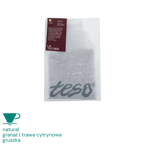 Teso Kostaryka La Totoba Natural filter 250 g | CoffeeLove