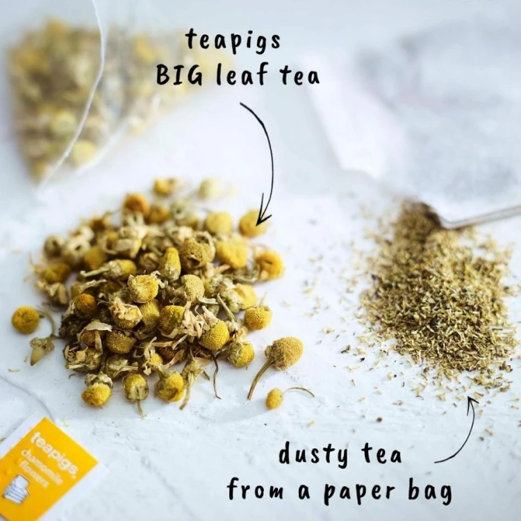 teapigs chamomile flowers | CoffeeLove