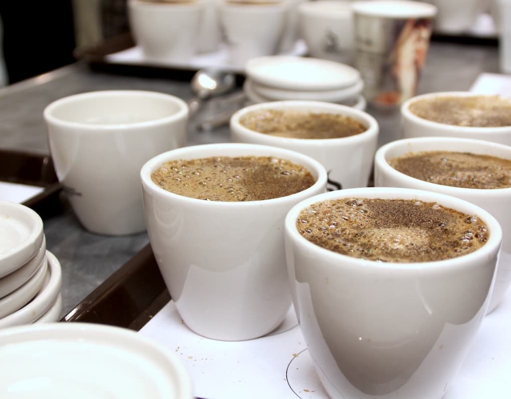 testowanie kawy - cupping