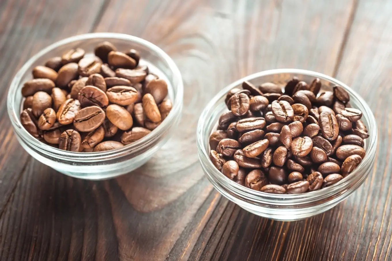 Arabica vs. Robusta – czym różnią się te gatunki kawy?